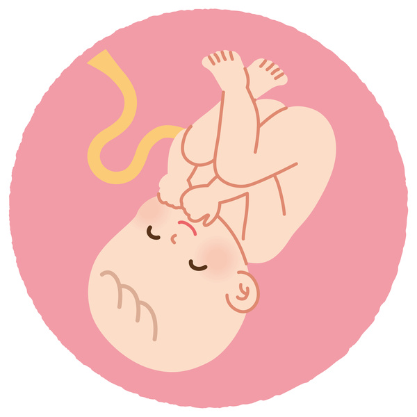 出産のときを待つ胎児