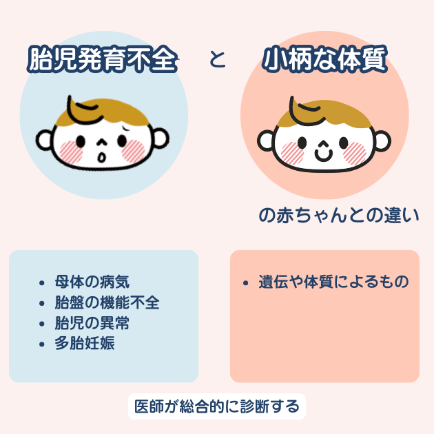 胎児発育不全と小柄な体質の赤ちゃんとの違い