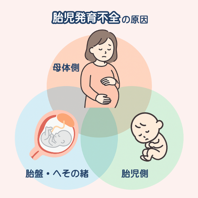 胎児発育不全の原因