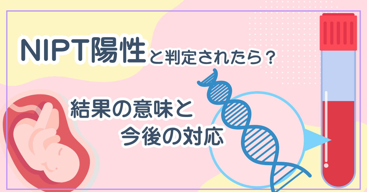 NIPT陽性と判定されたら？