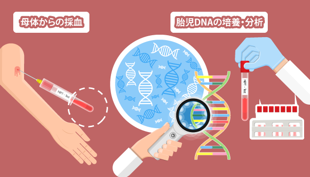 NIPT検査_採血と分析