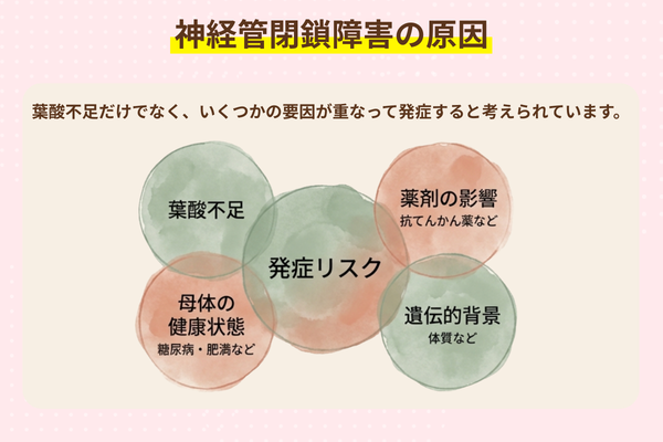 神経管閉鎖障害の原因