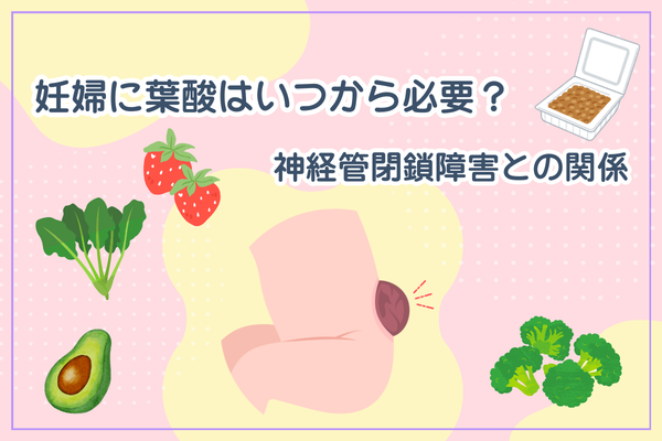 妊婦に葉酸はいつから必要？神経管閉鎖障害との関係