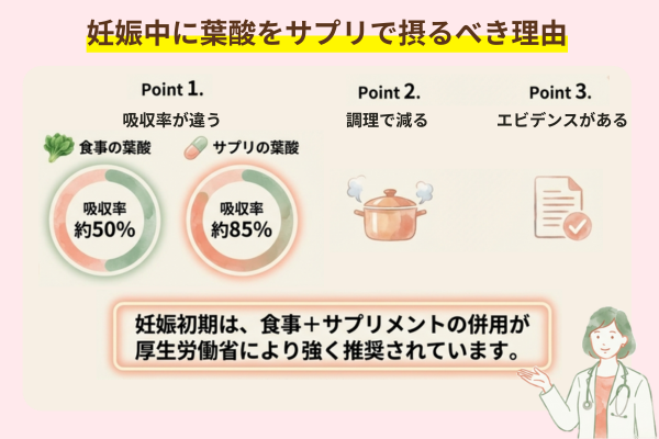 妊娠中に葉酸をサプリで摂るべき理由