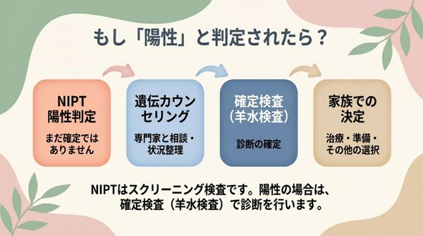 NIPTで陽性と判定された場合の流れ