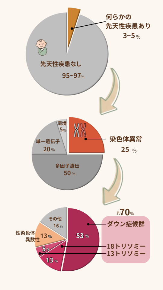 染色体異常が起こる割合