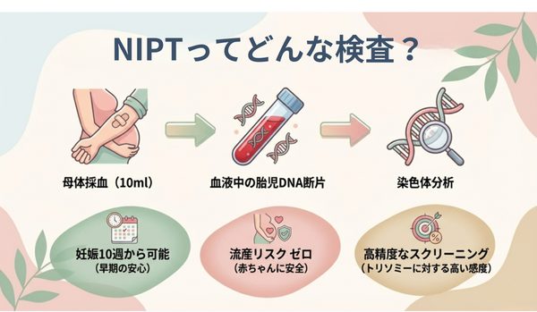 NIPTってどんな検査?